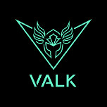 Logo VALK GAMING